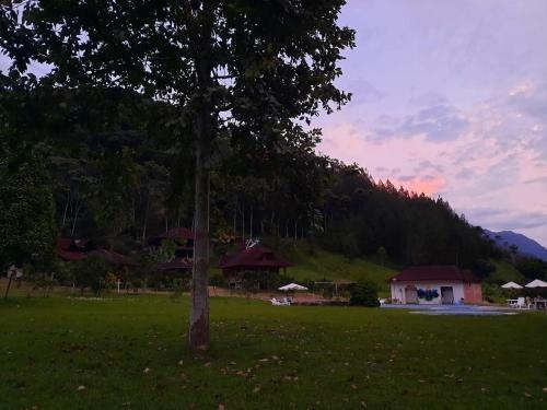 Hotel Mercedes Lodge