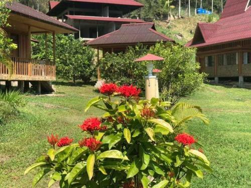 Hotel Mercedes Lodge