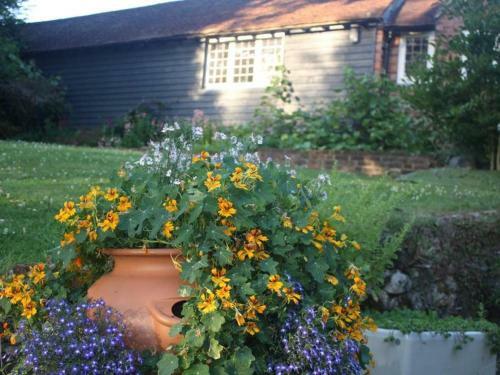 Apartamentos Oak House Farm