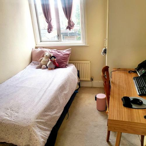 Monalisa Single Room Near Edgware Station