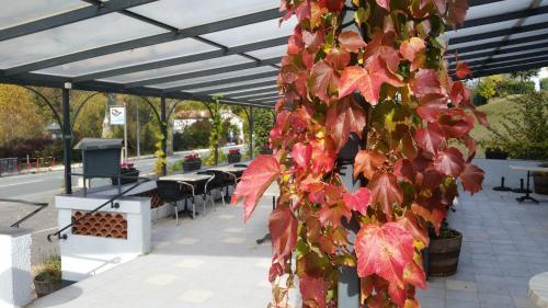 Hotel Auberge Des Cathares