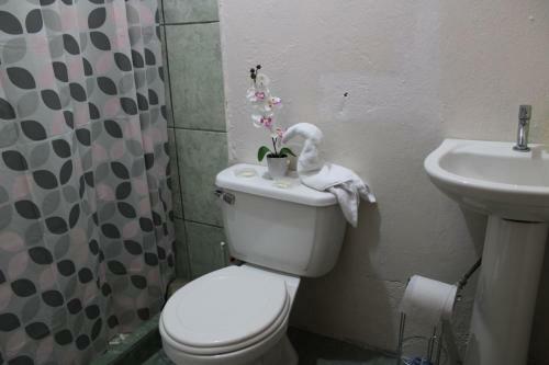 Apartamentos Mary