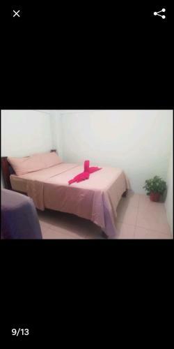 Hostal Sur� House Corcovado