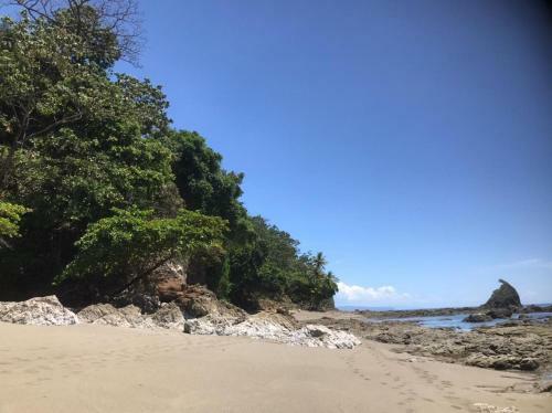 Hostal Sur� House Corcovado