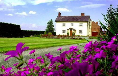 Bed & Breakfast Hordley Hall