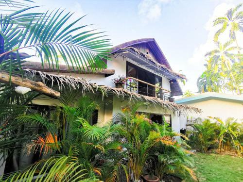 Boho Caribe