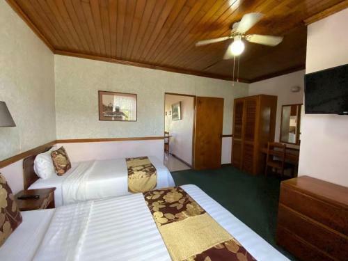 Hotel Ecological Inn
