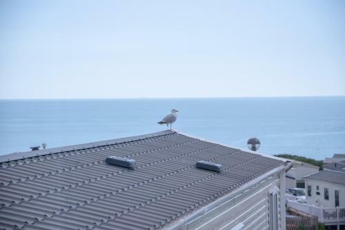 Devon Cliffs Holiday Home