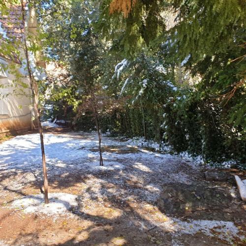 Chalet Ifrane