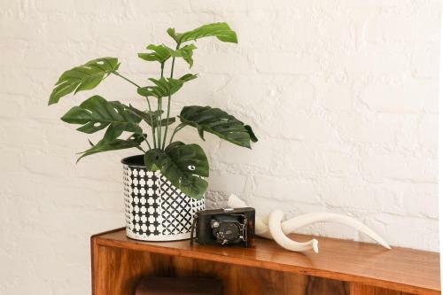 Apartamento Toerboer Cottages
