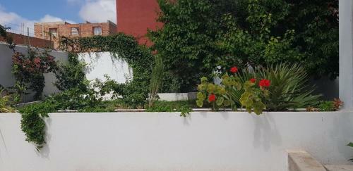 Apartamento Relaxing Home With Garden And Swimmingpool