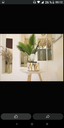 Apartamento Rue Zaraktouni N101