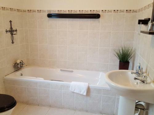 Hostal Lali's Guest House