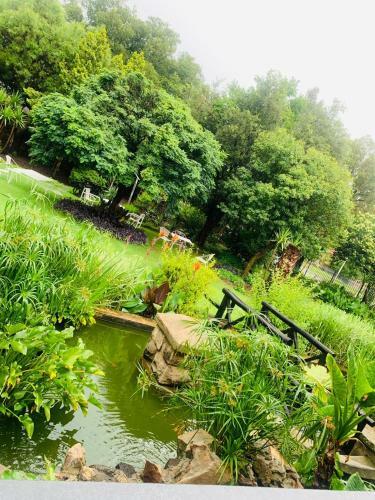 Hostal Golden Elephant Guest House