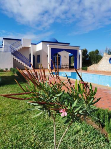 Bed & Breakfast Dar Yanis