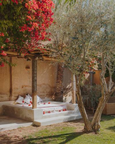 Bed & Breakfast Tagadert Lodge