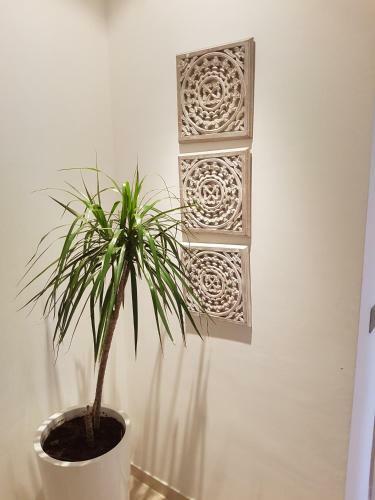 Apartamento Appartement Avec Piscine � Hay Riad