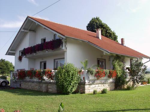 Hostal The White House