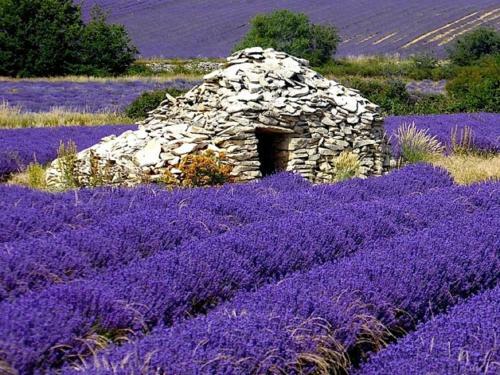 Hotel H�tel Les Lavandins