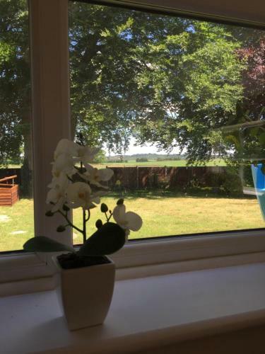 Bed & Breakfast Millbrook