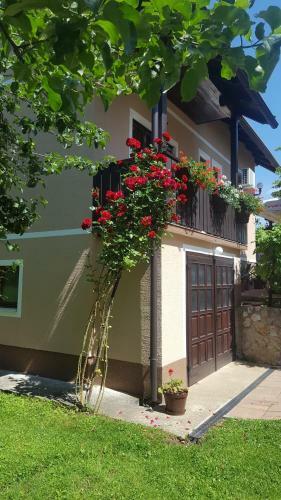 Hostal Guest Accommodation Marko Kesi?