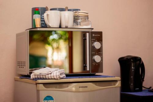 Hostal Silver Swan Accommodation