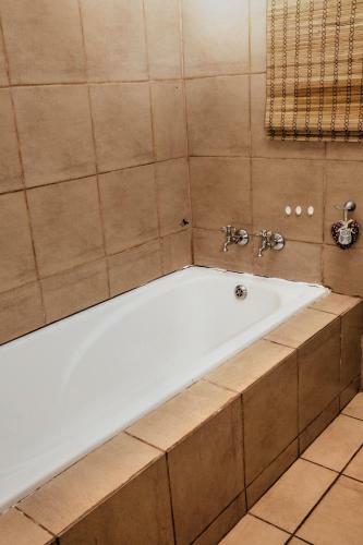 Hostal Silver Swan Accommodation