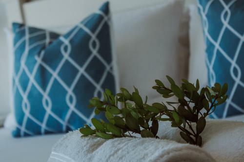 Apartamento Paraiso Del Cabo Guesthouse