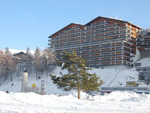 Apartment Christiania XVIII Nendaz Station