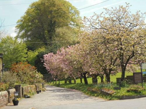 Rustic Cottage, Garden, Near Amenities, Wifi