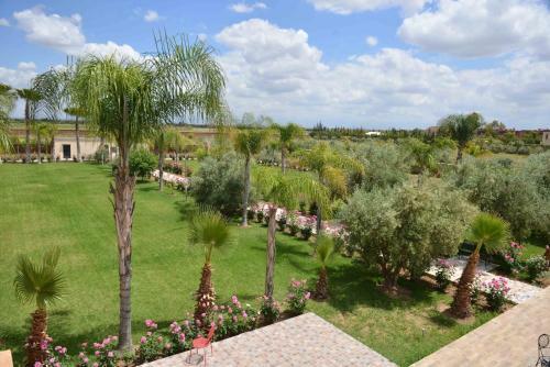 Hostal Paix & Palmiers