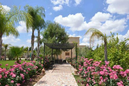 Hostal Paix & Palmiers