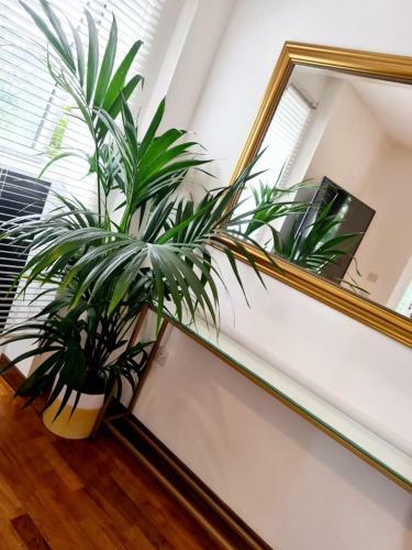 Apartamento Royal Blue And Gold 2 Bedroom Suite