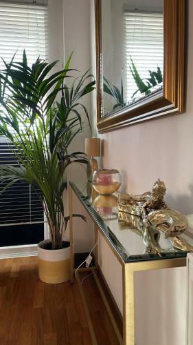 Apartamento Royal Blue And Gold 2 Bedroom Suite