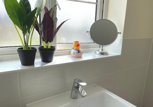 Ashford Holiday Home Sleeps 6