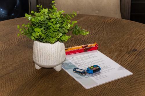 ?pop Inn? Modern Apartment In Heart Of Bryanston