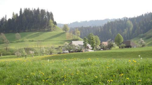 Landgasthof-hotel Adler