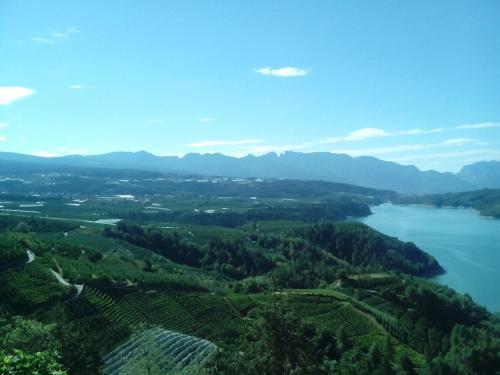 Viridis Hotel