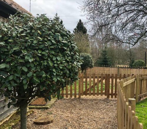 Secluded Getaway In Beautiful Norfolk Village