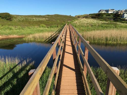 7 Thurlestone Rock