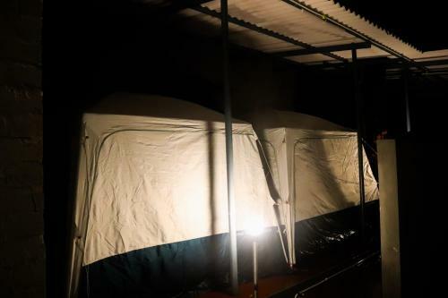 Tiger Camp Jungle Homestay