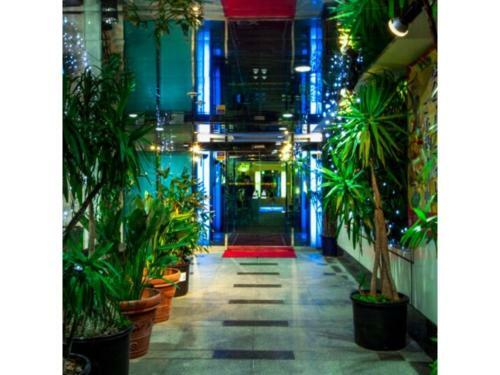 Grand Park Hotel Excel Kisarazu / Vacation Stay 77109