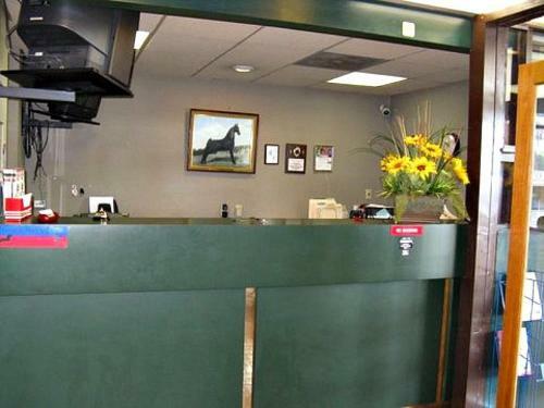 Hotel Walking Horse Lodge