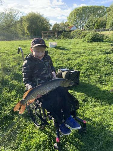 Wensum Glamping