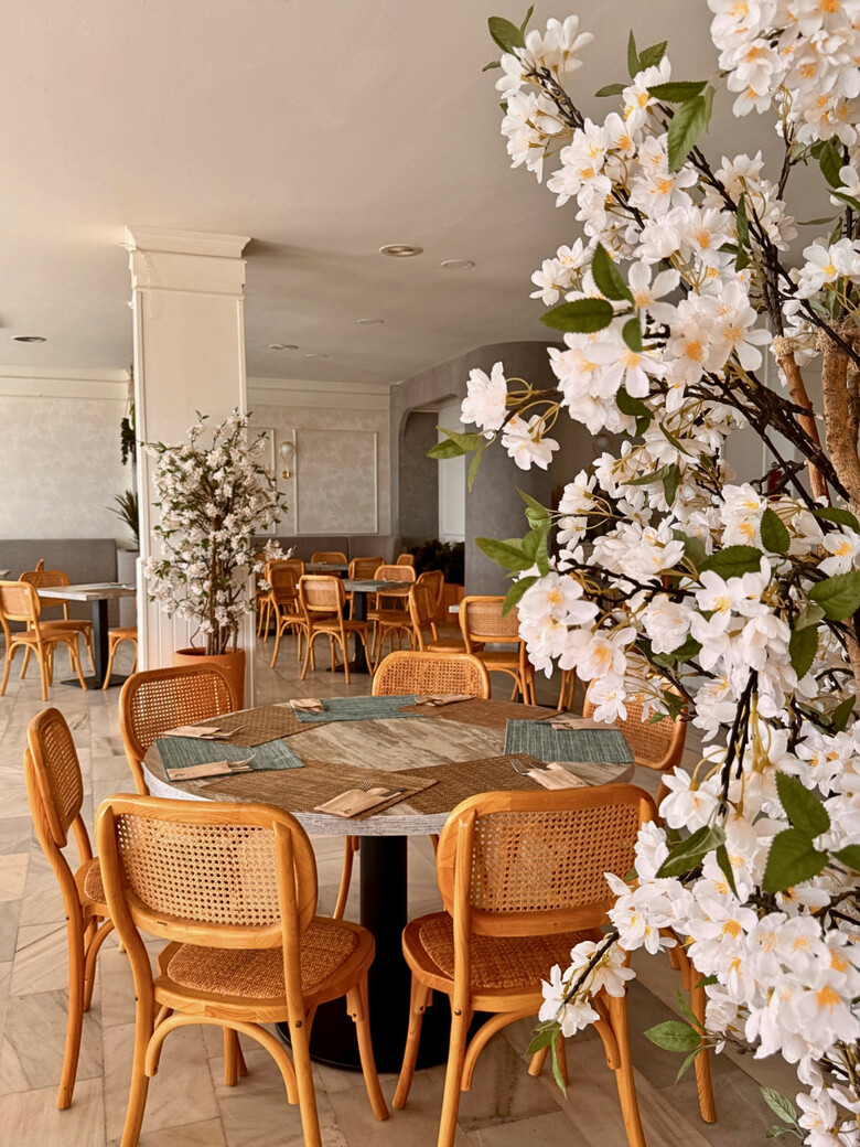 Hotel Sr Santa Rosa