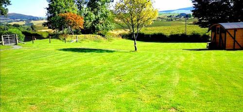 Pen-rhos Luxury Glamping "the Hare Hut"