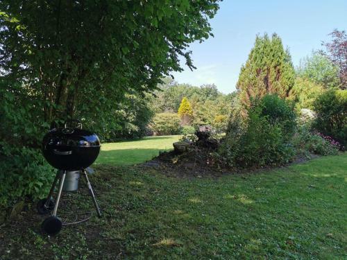 Jasmine Cottage - 3 Bedroom Cottage - Llanfyrnach