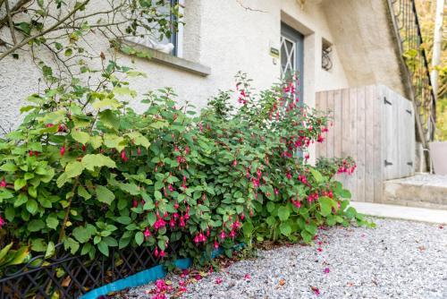 Apartamento Les Sens Des Bois - Les Gr�ves