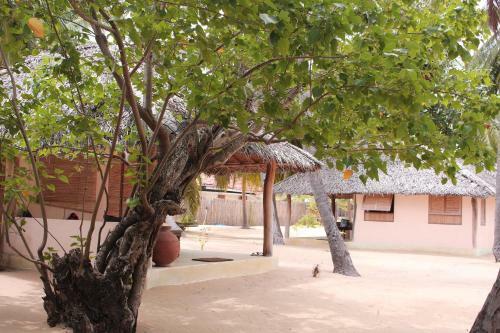 Hotel Cocodance Kitesurfing Resort
