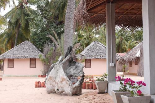 Hotel Cocodance Kitesurfing Resort